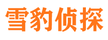 阿瓦提找人公司